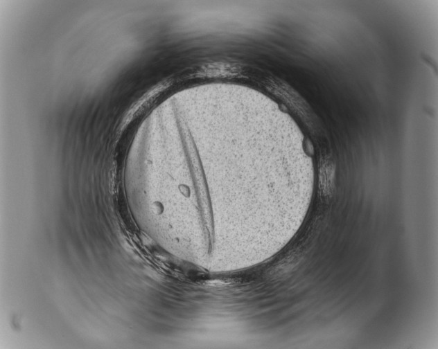 X0000102270724200808221437