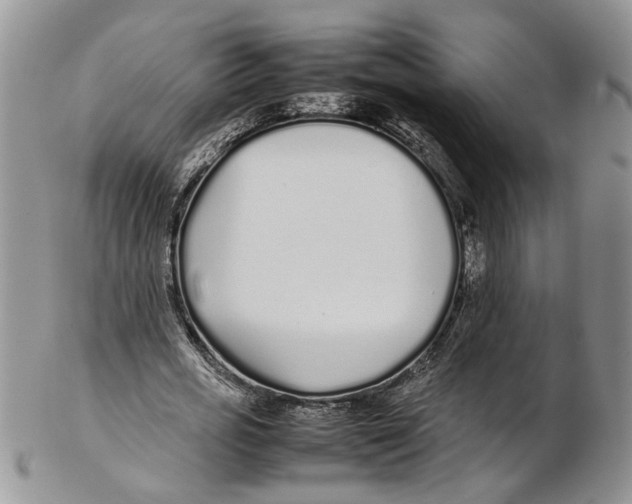 X0000102270725200808221437
