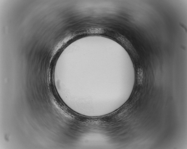 X0000102270726200808221437