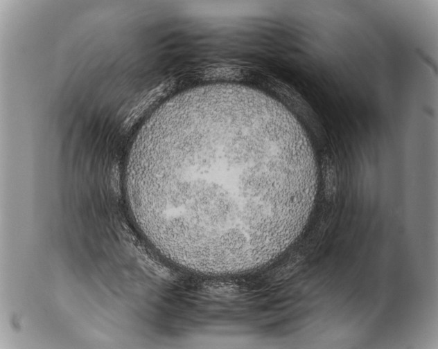X0000102270729200808221437