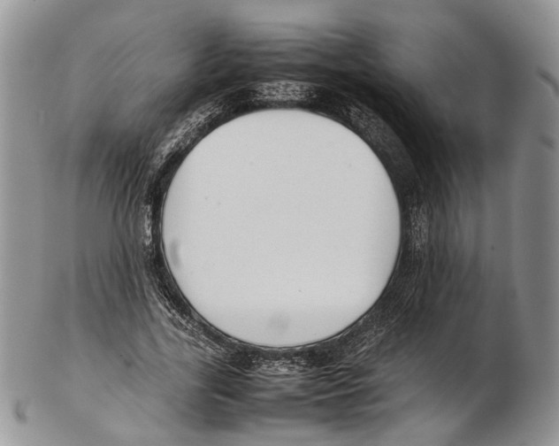X0000102270731200808221437