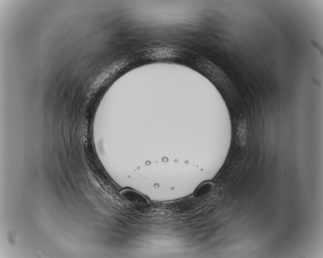 X0000102270732200808221437