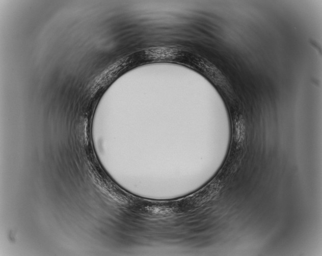 X0000102270733200808221437