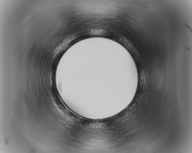X0000102270734200808221437