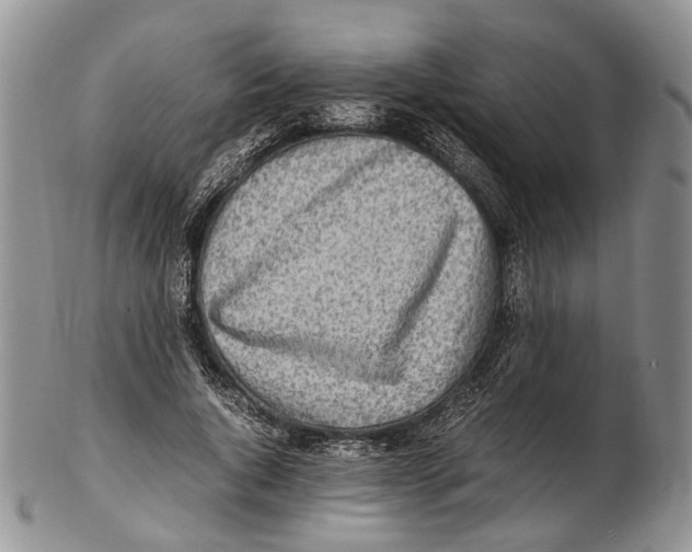 X0000102270736200808221437