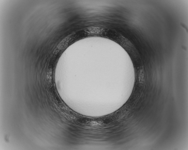 X0000102270737200808221437