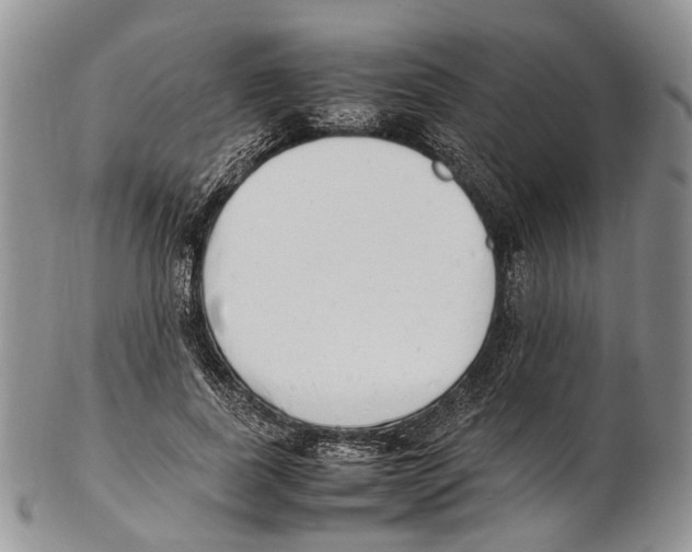 X0000102270739200808221437