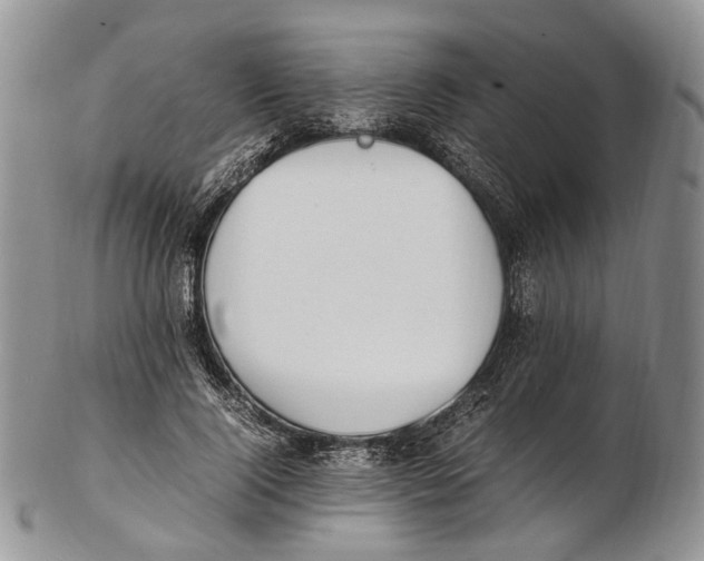 X0000102270740200808221437