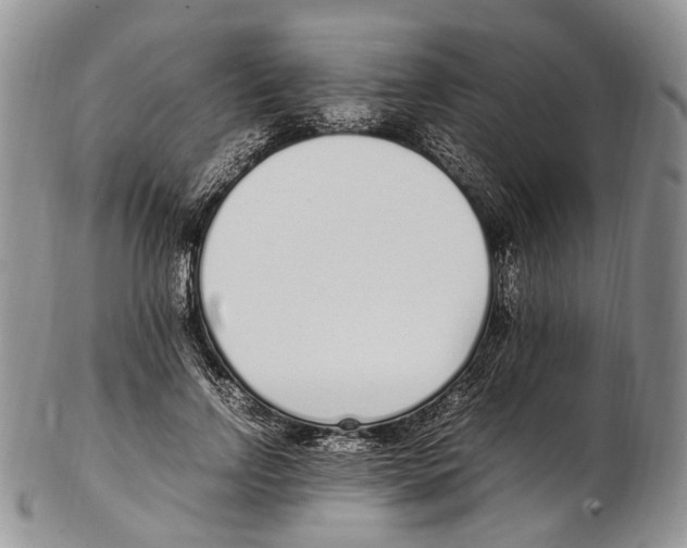 X0000102270742200808221437