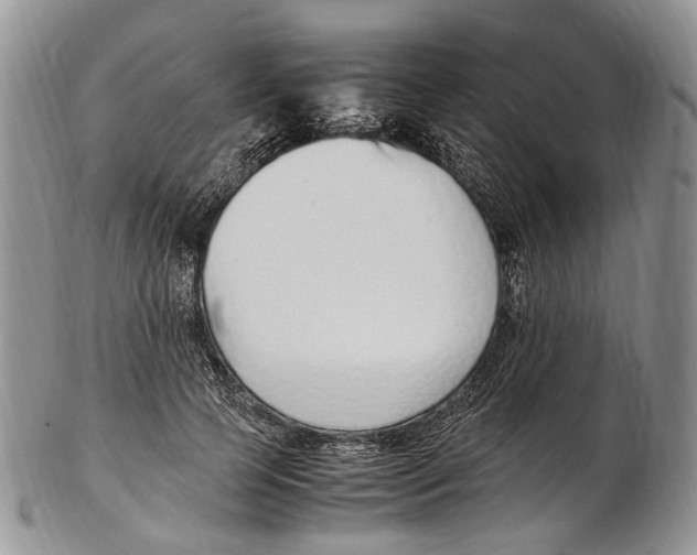 X0000102270745200808221437