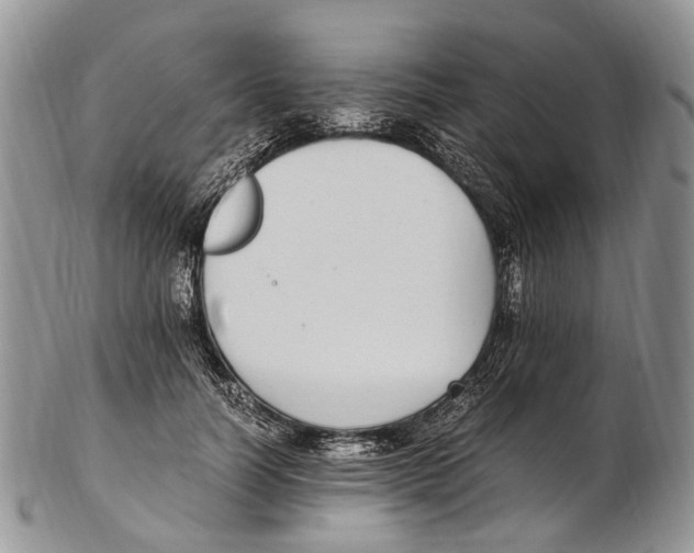 X0000102270746200808221437