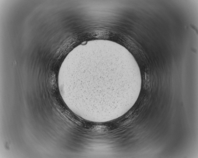 X0000102270748200808221437