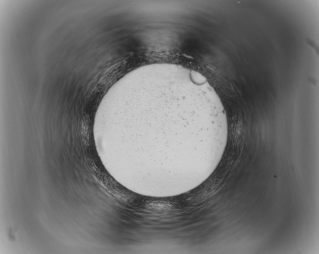 X0000102270749200808221437