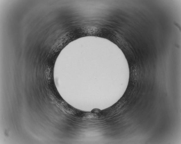 X0000102270750200808221437