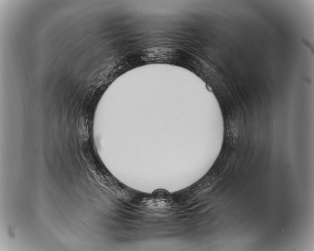 X0000102270751200808221437