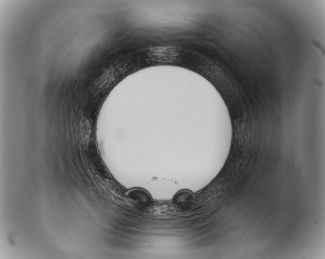 X0000102270752200808221437