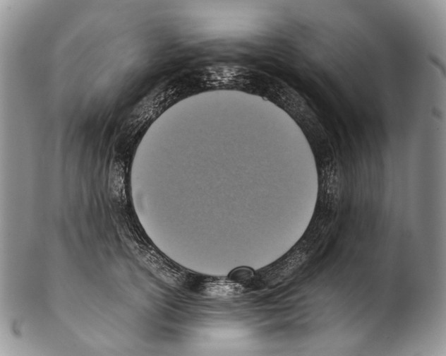 X0000102270754200808221437