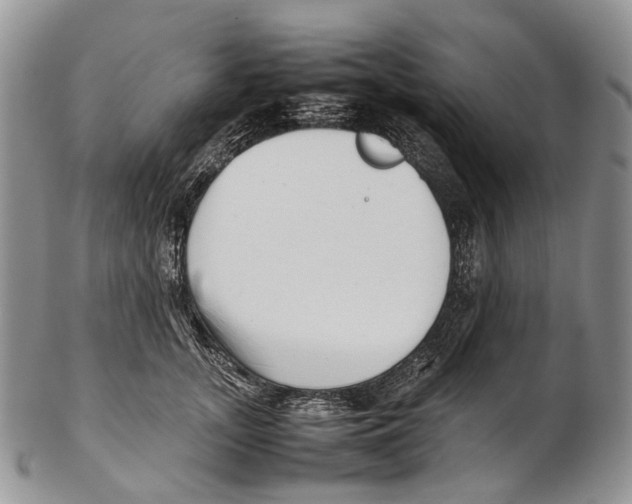 X0000102270755200808221437