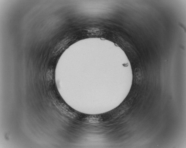 X0000102270756200808221437