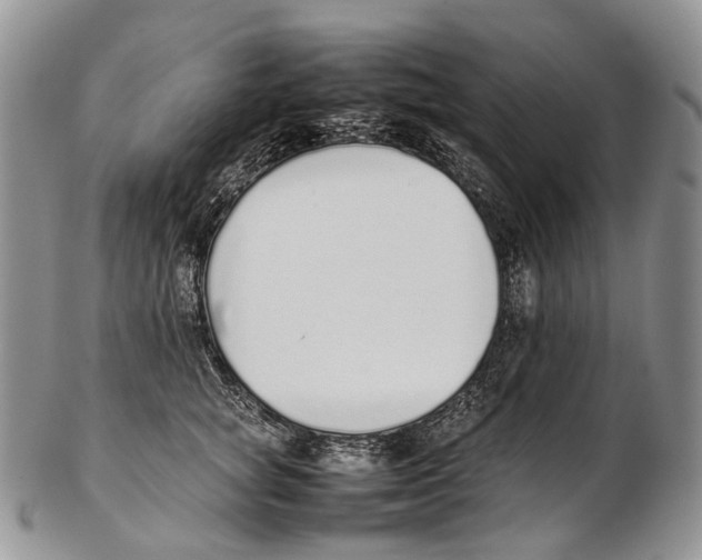 X0000102270757200808221437