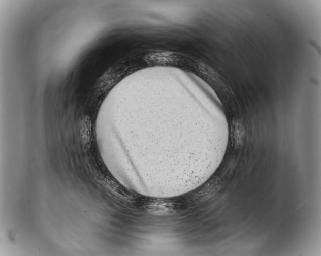 X0000102270760200808221437