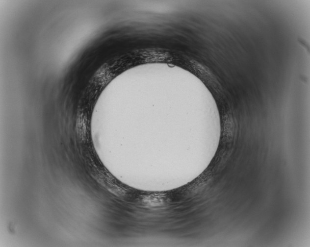 X0000102270761200808221437
