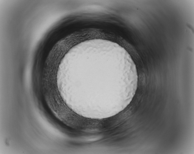 X0000102270765200808221437