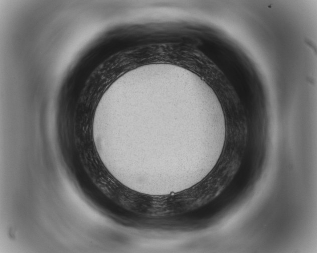 X0000102270766200808221437