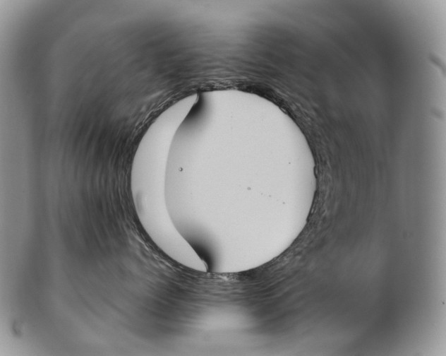 X0000102270768200808221437