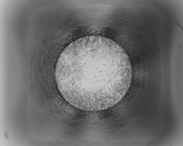 X0000102270769200808221437