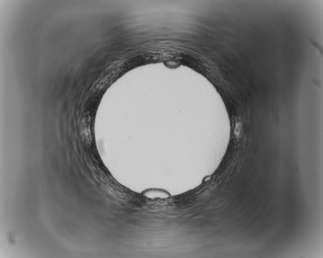 X0000102270771200808221437