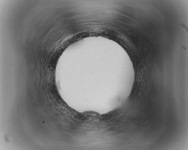 X0000102270773200808221437