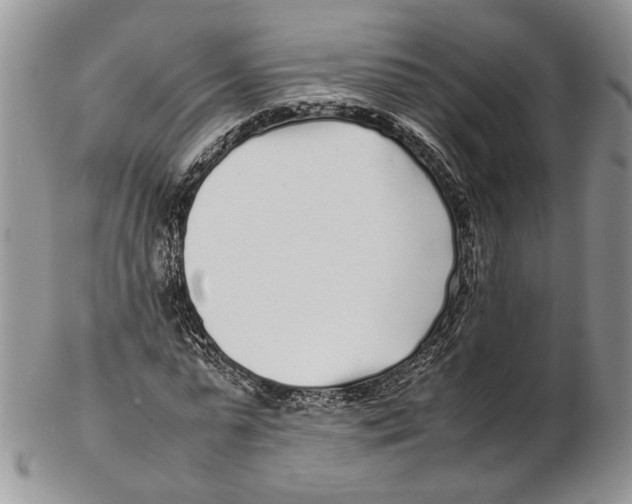 X0000102270775200808221437