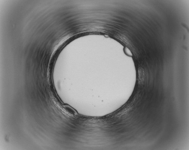 X0000102270780200808221437