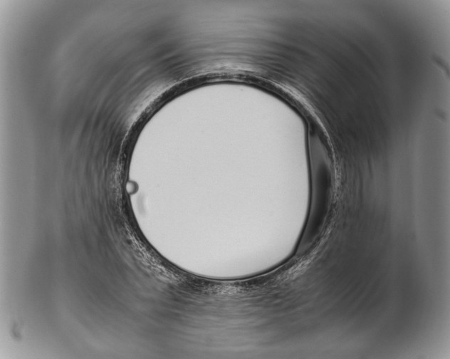 X0000102270783200808221437