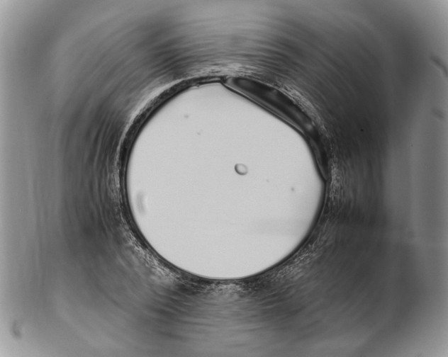 X0000102270784200808221437