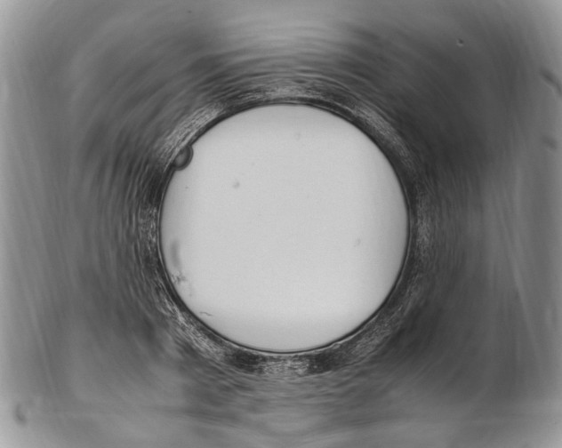 X0000102270793200808221436