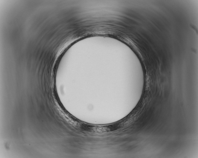 X0000102270795200808221436