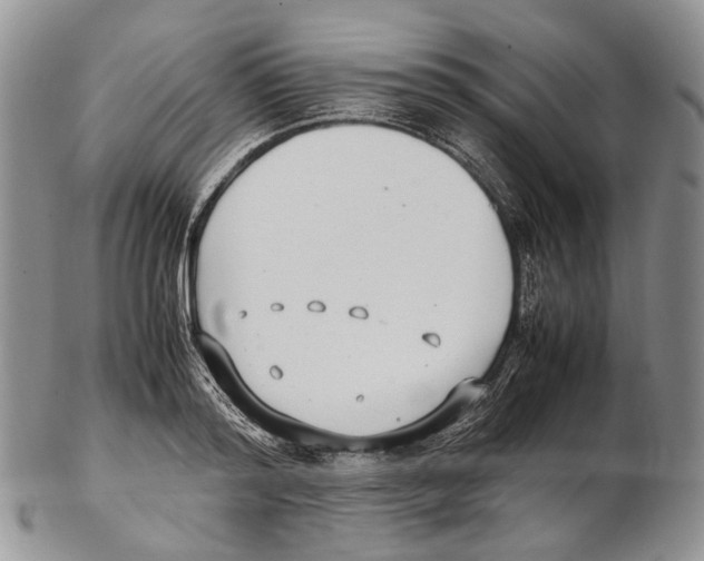 X0000102270796200808221436