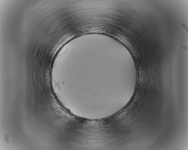X0000102270806200808221436