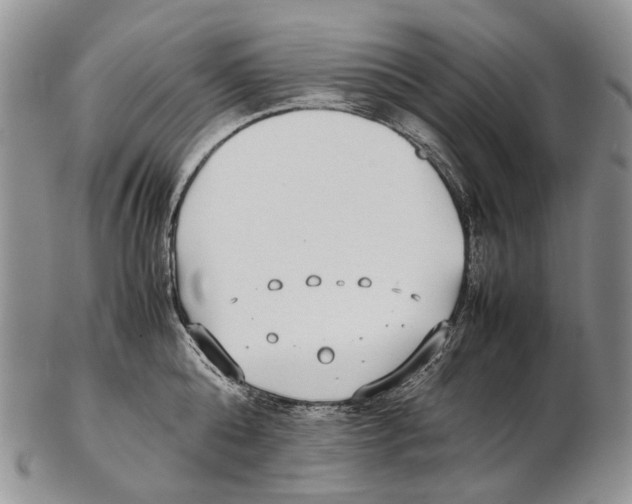 X0000102270808200808221436