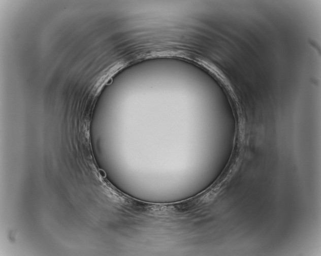 X0000102270809200808221436