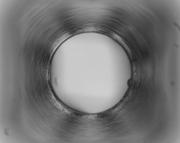X0000102270810200808221436