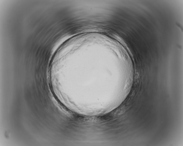 X0000102270811200808221436