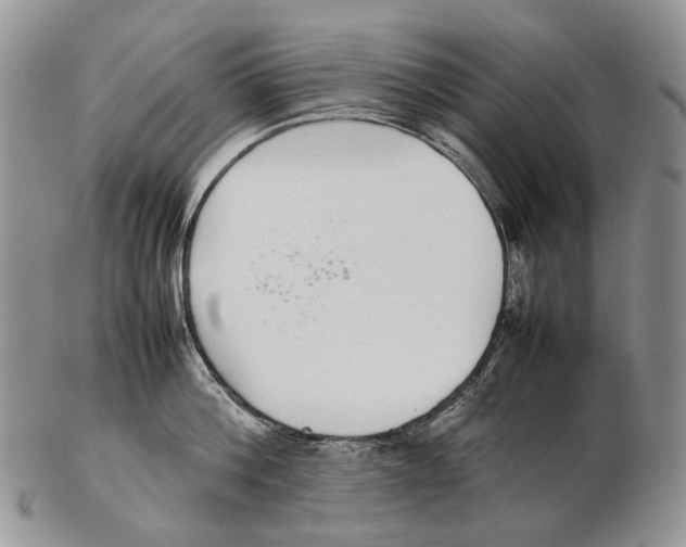 X0000102270812200808221436