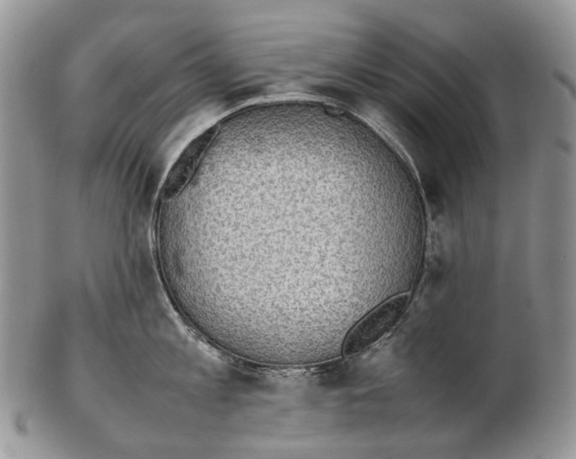 X0000102270813200808221436