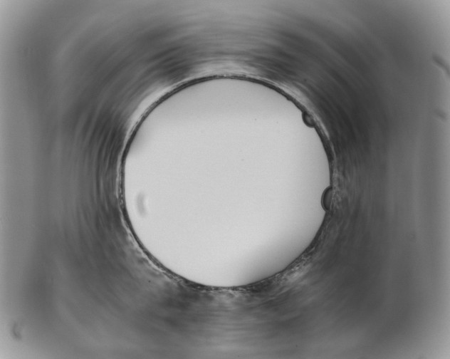 X0000102270815200808221436