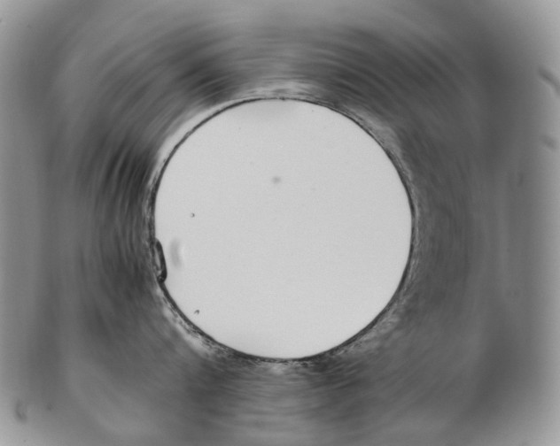 X0000102270816200808221436