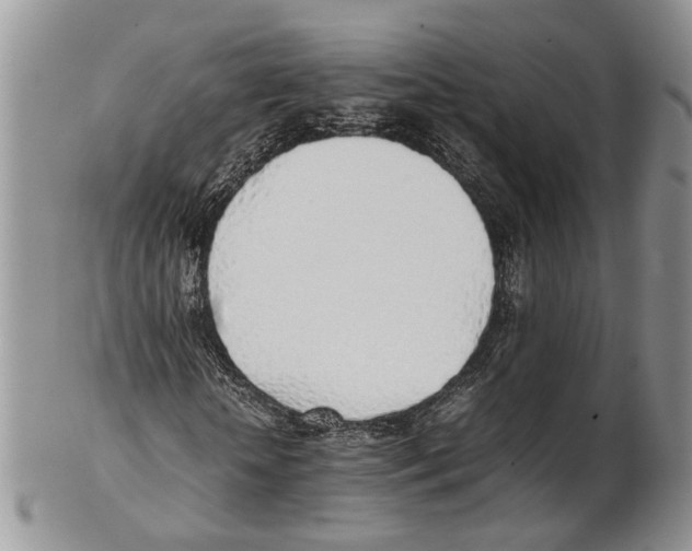 X0000102270818200808221435