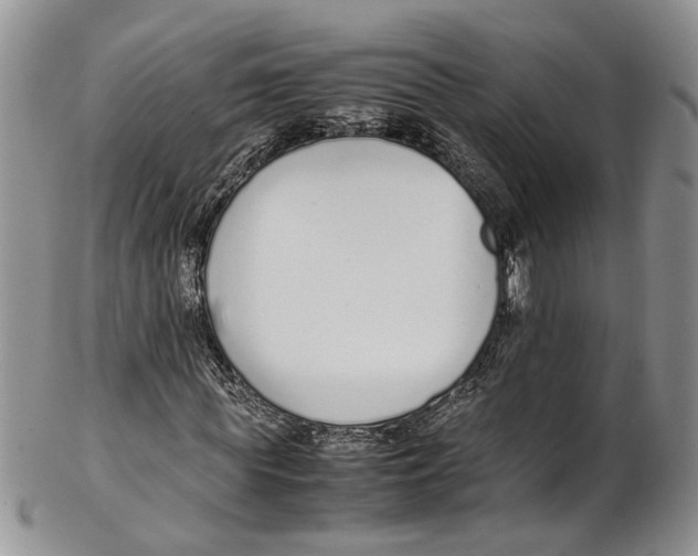 X0000102270819200808221436